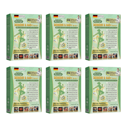 Solaroza® Moringa & Berberin 10-in-1 Nano-Mikronadel-Pflaster